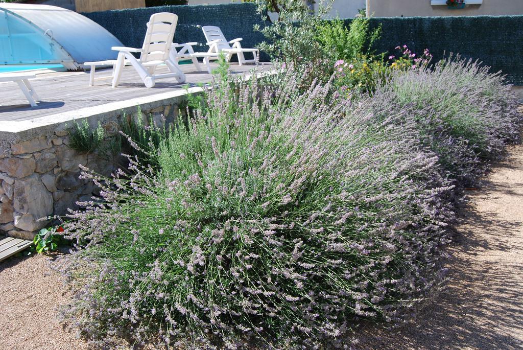 Les Terrasses De Castelmerle Niaux المظهر الخارجي الصورة